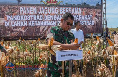 Pangkostrad Panen Jagung Serta Tanam Padi Juga Resmikan Mess Dan