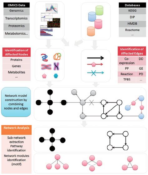 A Schematic Outlining The Steps Involved In Omics Data Integration For