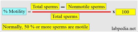 Semen Part Semen Analysis And Semen Counting Procedure