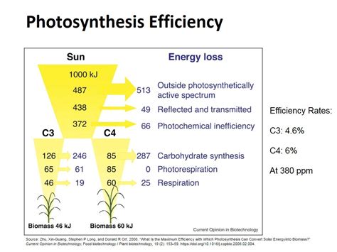 Nanohub Org Resources Che A Lecture Photosynthesis Watch