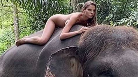 Influencer Alesya Kafelnikova Apologises For Nude Photo With Elephant