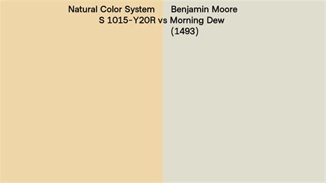 Natural Color System S Y R Vs Benjamin Moore Morning Dew