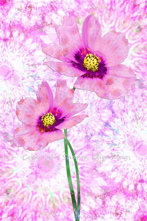 Sharon Cummings On Twitter Rt Terracegallery Pink Mandala Cosmea