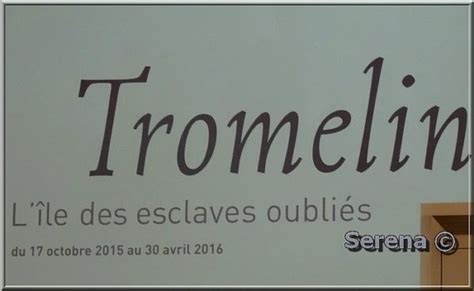 Exposition Tromelin L Le Des Esclaves Oubli S