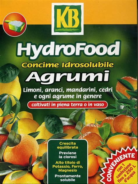 Hydrofood Agrumi Idrosolubile Da Grammi Amazon It Giardino E