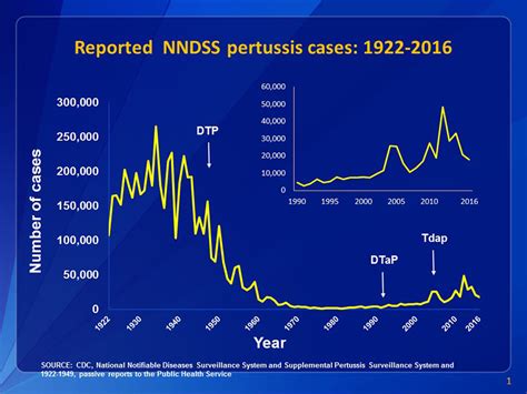 Why Is Whooping Cough On The Rise The Brink Boston University