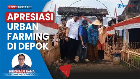 Anggota Komisi VIII DPR Nur Azizah Tamhid Apresiasi Urban Farming Jl