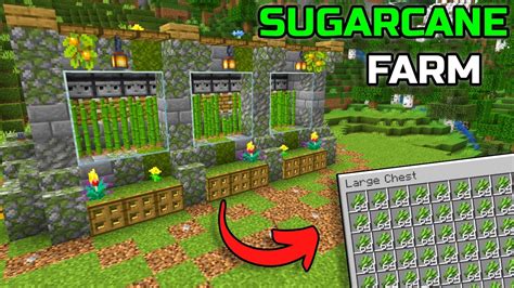 Cum Sa Faci O Ferma De Sugarcane Automata Tutorial Minecraft