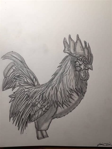 Rooster Sketch by LonelyArtistStudios on DeviantArt