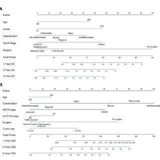 Nomogram Predicting And Year A Os B And Css Of