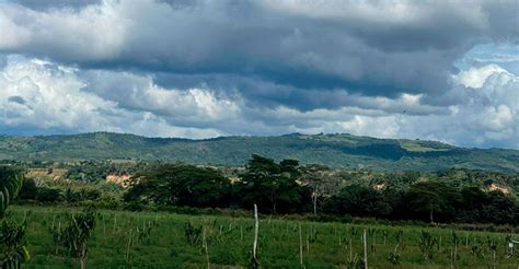 Continuará el descenso de la temperatura nocturna en la selva hasta los