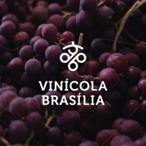 Notas De Vinho Por Etienne Carvalho Ed Blog Vinho Tinto