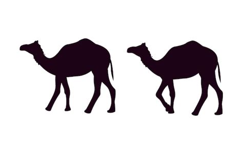 Los Camellos Se Recortan Contra Un Fondo Blanco Vector Premium