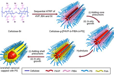 Uniform 'hairy' nanorods have potential energy, biomedical applications