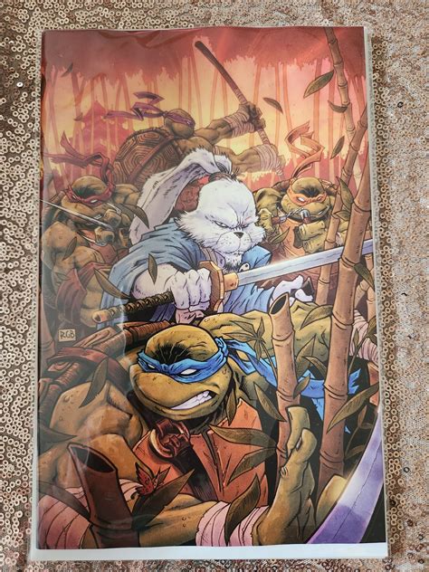 Teenage Mutant Ninja Turtlesusagi Yojimbo Wherewhen 1 Virgin Variant Comic Books Modern