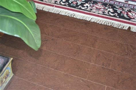 Living Room Flooring Designs With Cork Cancork