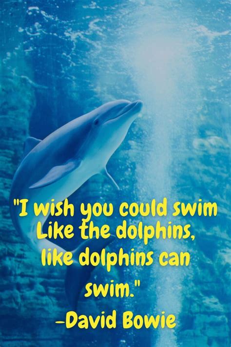 85 Powerful Dolphin Quotes And Captions - Darling Quote