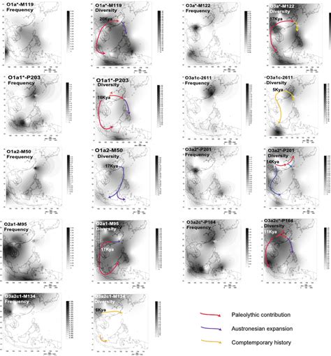 Phylogenetic Tree Of 47 Y Chromosome Haplogroups Seen In This Study