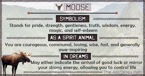 What Does A Moose Symbolize As A Spirit Animal Meaning Of Antlers