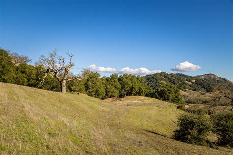 The Preserve Collection Santa Lucia Preserve Real Estate Carmel