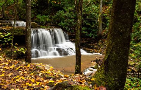 The Best Waterfalls In Tennessee To Visit Blue Ridge Mountains