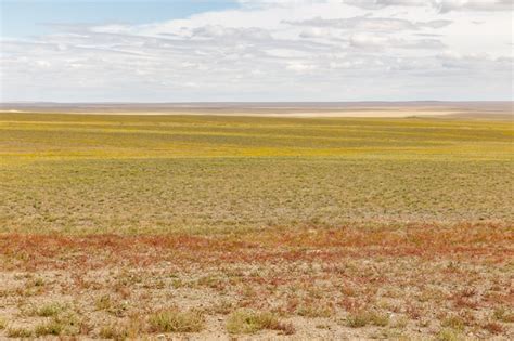 Premium Photo Dried River In The Desert Gobi Desert Mongolia