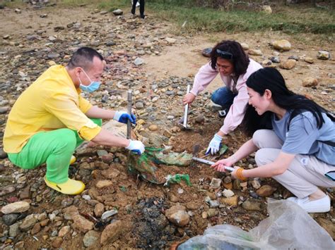 党建活动 红树种植共建城市生态文明 SENGO深圳市绿源环保志愿者协会官方网站