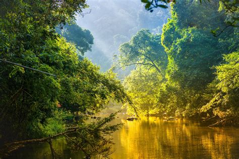 Best Time To Visit The Amazon