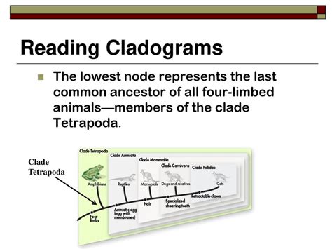 Chapter 18 Classification Ppt Download