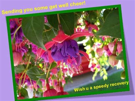 Wish Good Health And Speedy Recovery Free Floral Wishes Ecards 123