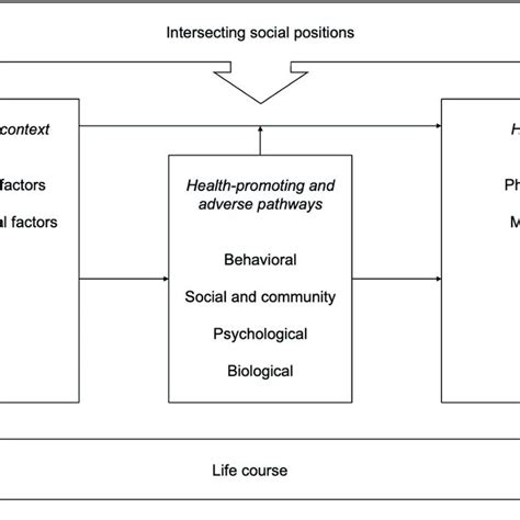 Pdf Structural Interpersonal And Individual Factors Influencing Sexual Orientation Based