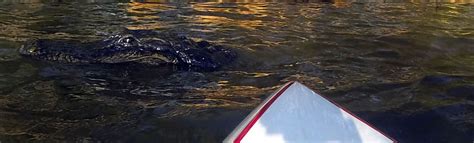 Heads Up! - The Paddle Channel