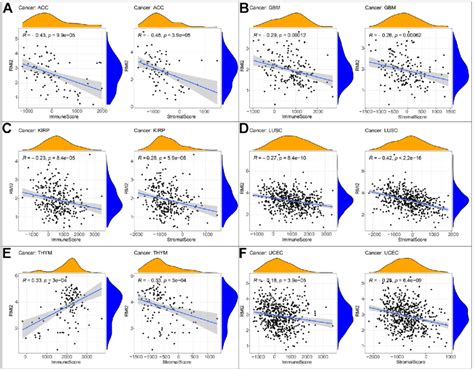 Correlation Of Rmi2 Expression With Immunescore And Stromalscore In