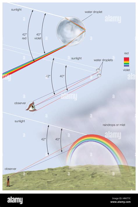 How A Rainbow Is Formed With A Diagram Of Reflection And Refraction