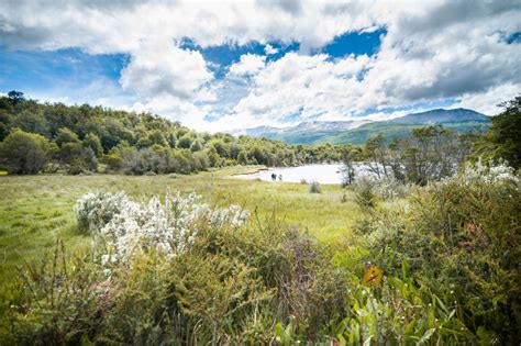 Ushuaia Full Day Trip To Tierra Del Fuego National Park Travel Buddies