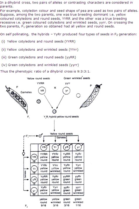 Frank Icse Class 10 Biology Solutions Principles Of Genetics A Plus Topper