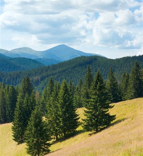 Premium Photo Summer Cloudy Mountain Landscape Carpathian Ukraine