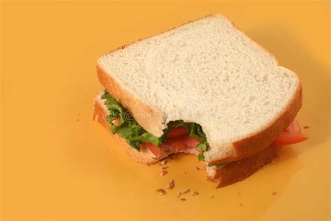 Sandwich Bite Stock Image Image Of Biting Crumbs Bitten 901383