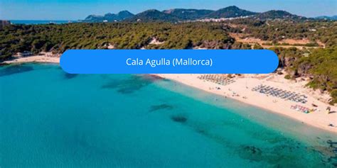 Cala Agulla Strand In Mallorca Click Mallorca