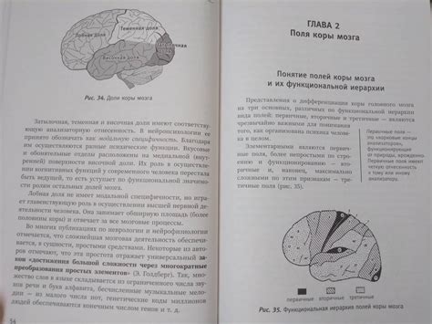 Основы нейропсихологии. Теория и практика - Визель Татьяна Григорьевна ...