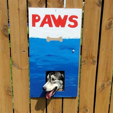 This Guy Made Neighborhood Laugh With Creative Fence Windows For Dogs