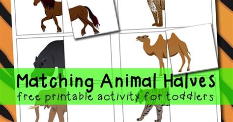 Matching Animal Halves Printable Activity Preschool Zoo Theme Zoo