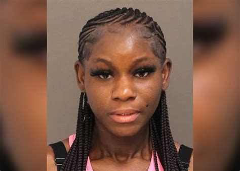 Pa. woman accused of torturing animals on YouTube channel