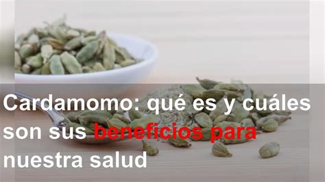 Cardamomo Qué Es Y Cuáles Son Sus Beneficios Para Nuestra Salud Youtube