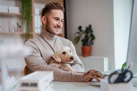 Portare il cane in ufficio dalla Statale di Milano arriva il sì per la