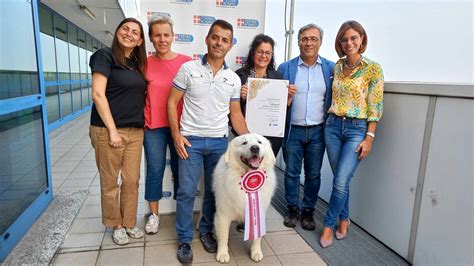 Cafaggio è il cane più bello del mondo e vive nel Torinese