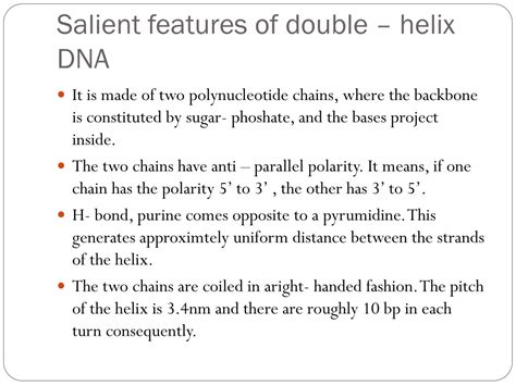 Ppt Molecular Basis Of Inheritance Powerpoint Presentation Free