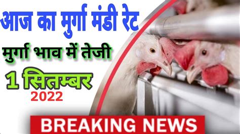 Poultry Rate Todaybroiler Rate Todaychicken Rate Todaymurga Mandi