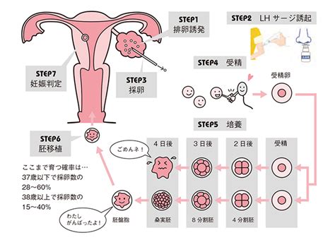 不妊治療におけるリスクを少しでも減らすために｜不妊治療は東京渋谷区のはらメディカルクリニック