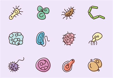 Bacteria Icons Vector Art At Vecteezy